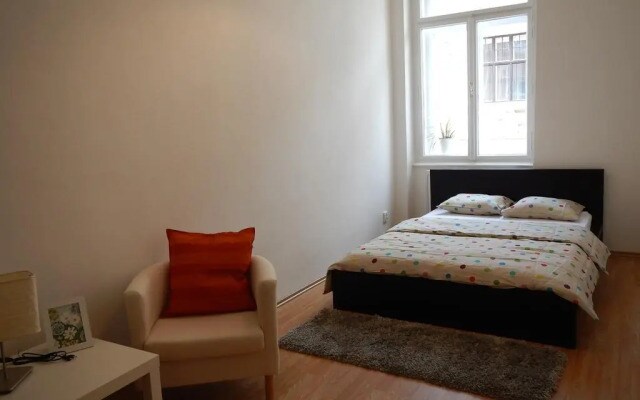 Downtown Apartment Behounska