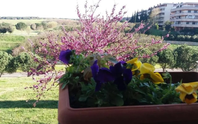 Colline Verdi