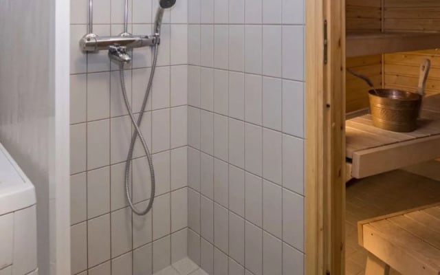 Karhunvartijan linna b11