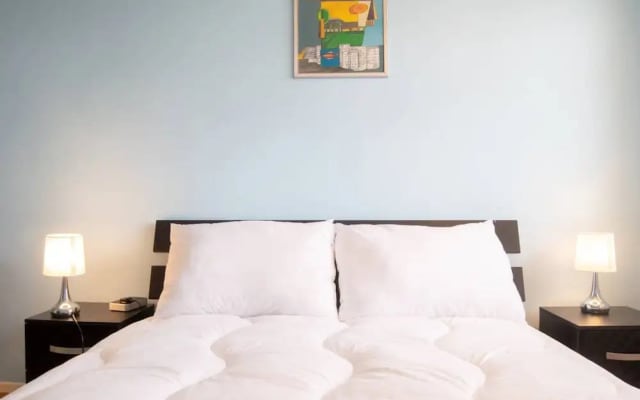 1 Bedroom Apartment Near Victoria Station