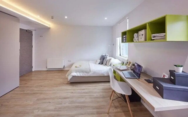 Beautiful Studio In Kingston Area