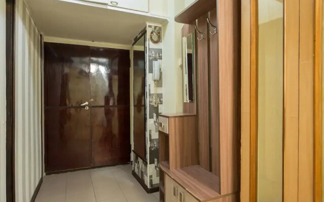 Donskoy Studio