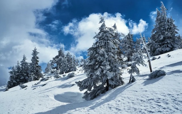 Cihlarka Mountain View Apartment