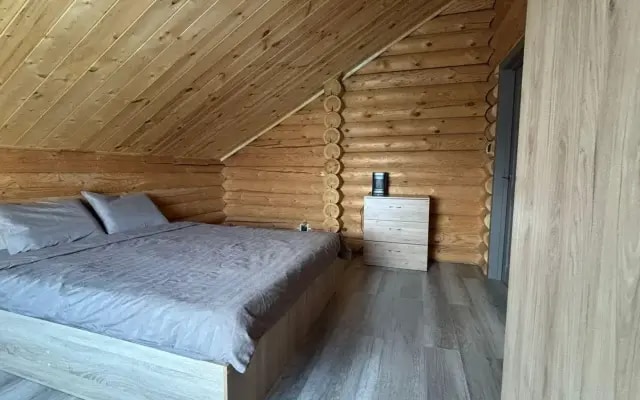 Коттедж Сова Бородулино