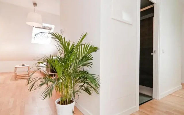 Luxe Home Madrid Plaza Mayor