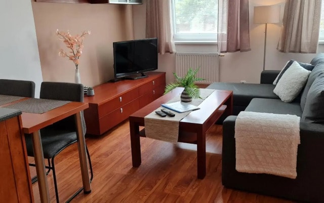 Apartmán P+Z