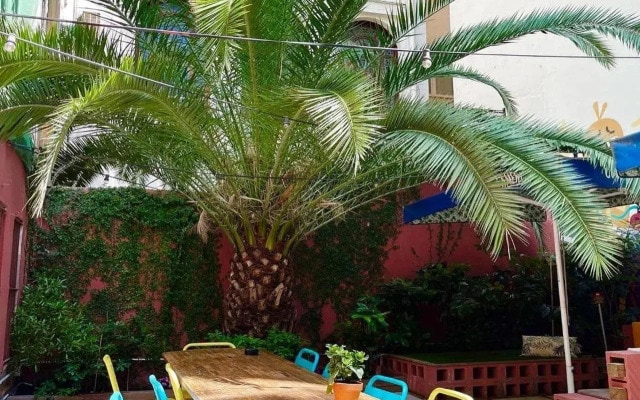 Loft Hostel