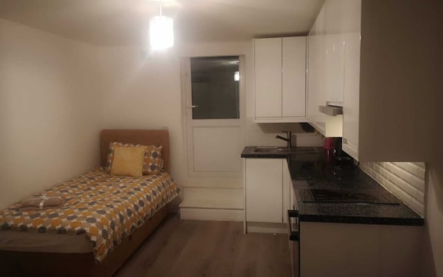Beautiful Studio Putney London