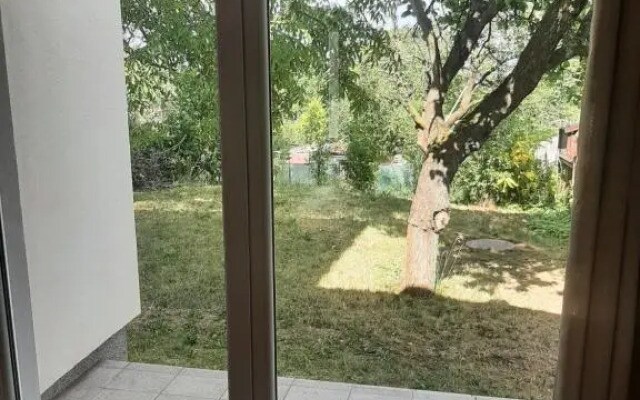 Dům v Brně