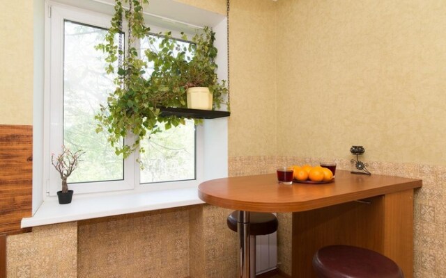 Apartment on Blyukhera