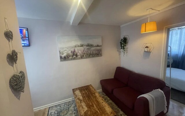 Comfy and Lovely 1-bed Apartment in London
