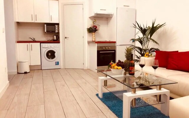 Apartment in Sol