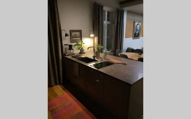 Luxury Apartment in the center