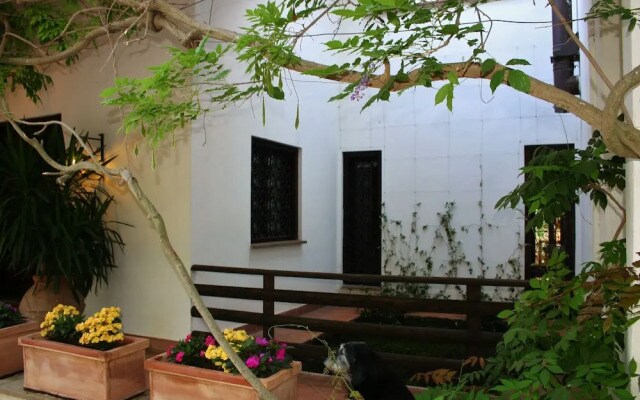 Green Oasis B&B