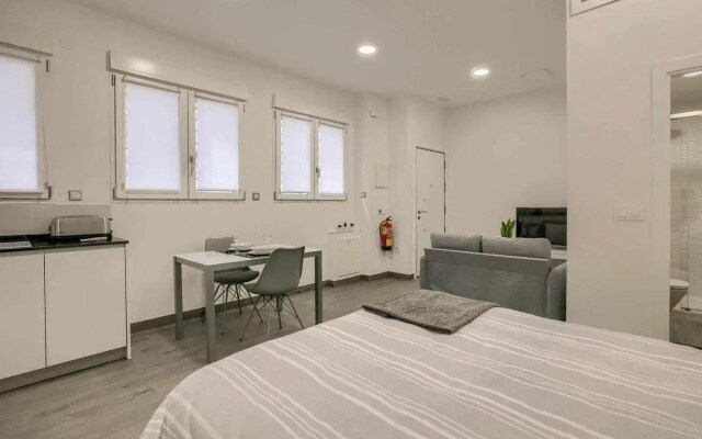 RiNa MADRID apartamento 2