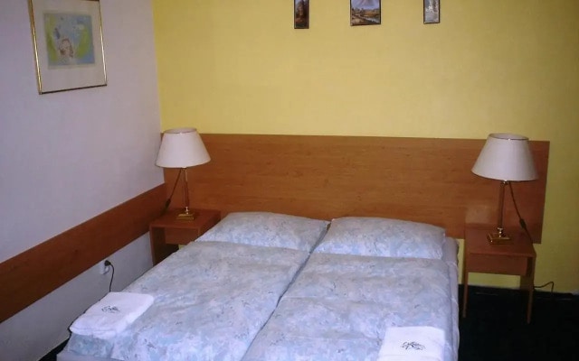 Pension Schaumannuv Dvur