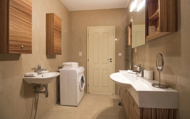Luxurious Apartment near Prague Castle