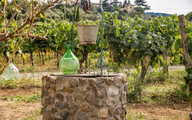 Un' Ottima Annata - La casa nel vigneto