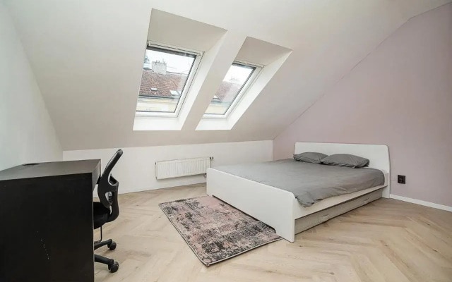 Big 4-bedroom flat, terrace with great Vítkov view
