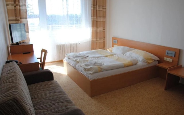 Hotel Slezan