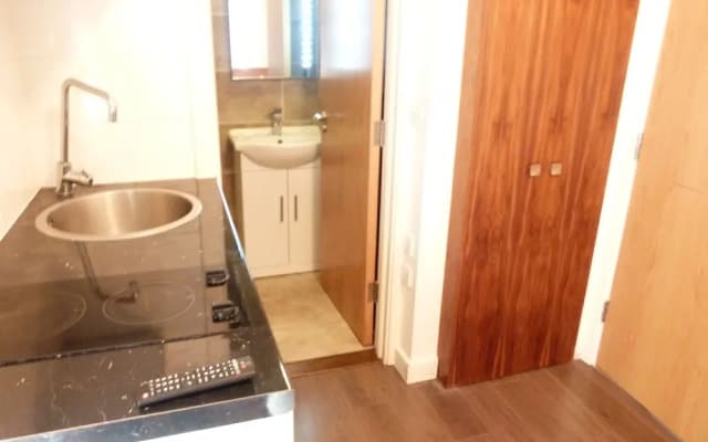 SS Property Hub - City of London Studio Apartment 15