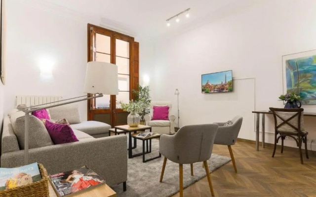 Great Spacious Apartment in the Gothic District City Center