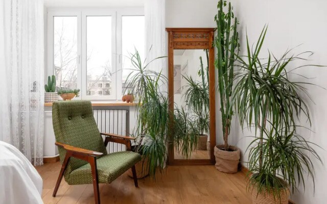 Estetic House (Эстетик Хаус) на улице Доватора