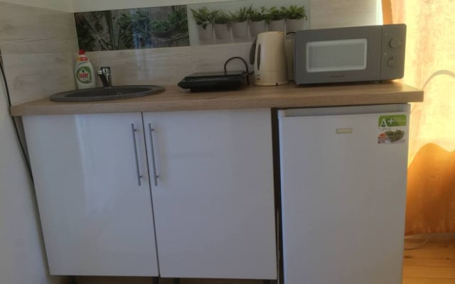 Kurshskaya Kosa Guest House