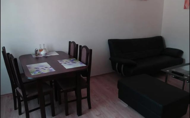 Apartment Krále Jiřího