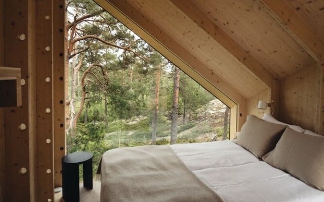 Hilltop Forest