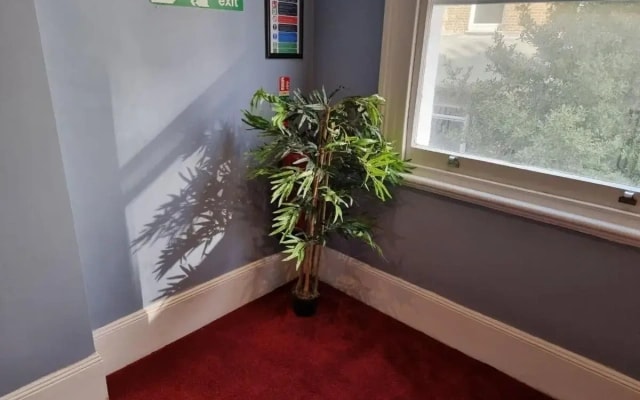 F101-First Floor Flat Fits 3 Near Hyde Park