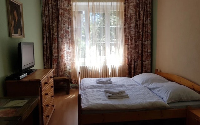 Hotel Bor
