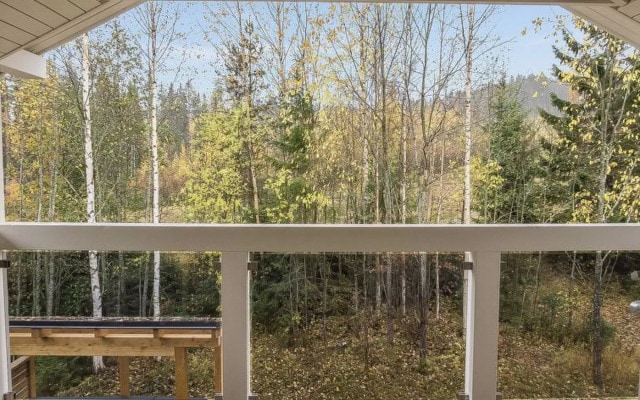 Klz timantti