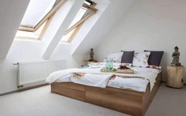 Old Town Apartment Spilberk by goodnite cz