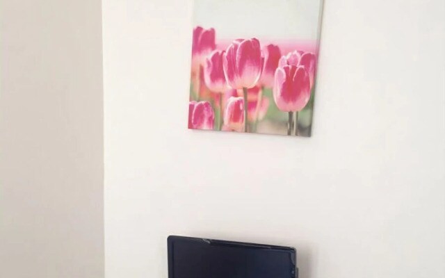 Apartment Poisson 1