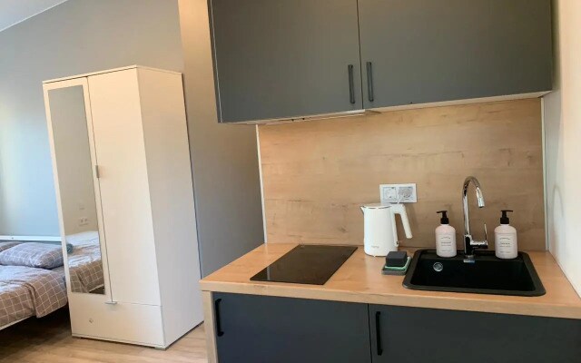 RentalSPb на улице Боровая 34/24