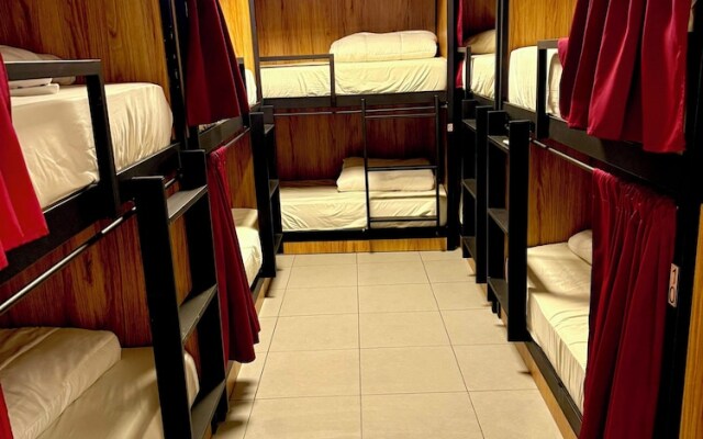 PALOMERAS Coliving & Coworking