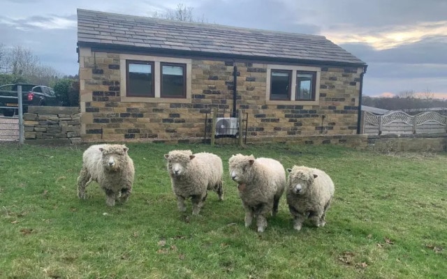 Brand new purpose built annex :- The Stables