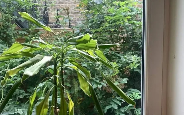 Rustic 2 Bedroom Flat in Brixton