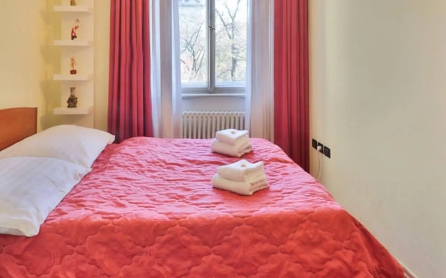 Wonderful apartment in Vinohrady
