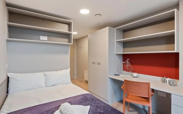 Spacious New 6BR Apt in City Centre - Sleeps 6