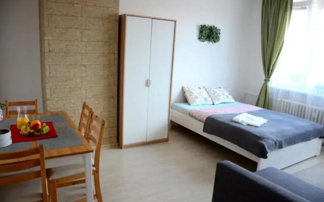 Prague city centre apartment Radka1