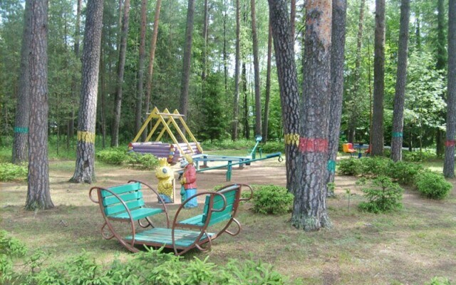Lepelskiy Sanatorium