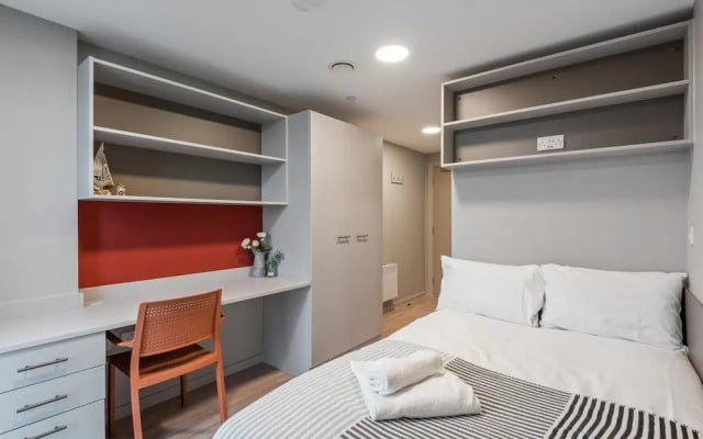 Central Modern 6BR APT With Fast Wifi Sleeps 6