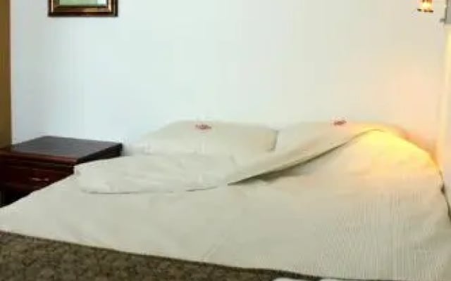 Hotel Alvariini