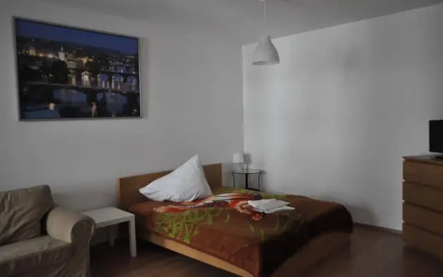 Bright spacious apartment