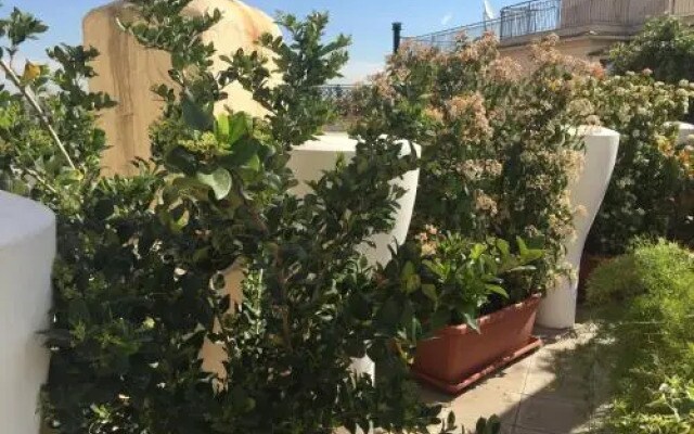 Terrazza Fiorita