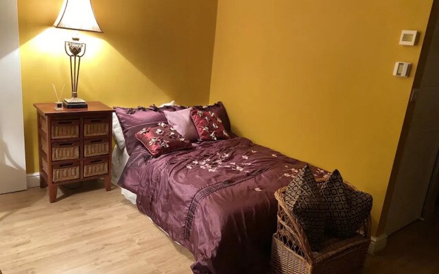 Immaculate Studio Apartment in North London