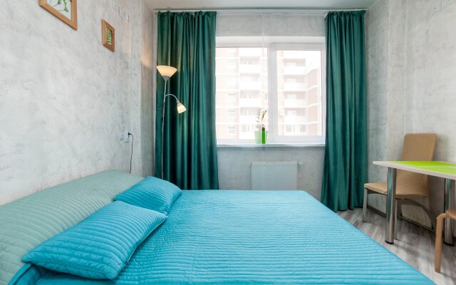 Uyutnyie Na Ligovskom Apartments