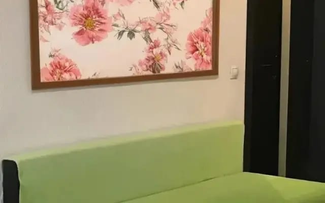 Квартира на Суворовском Студия